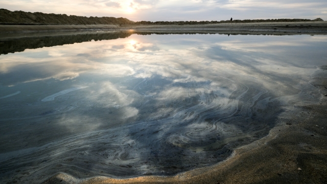 Oil floats on the water surface after an oil spill