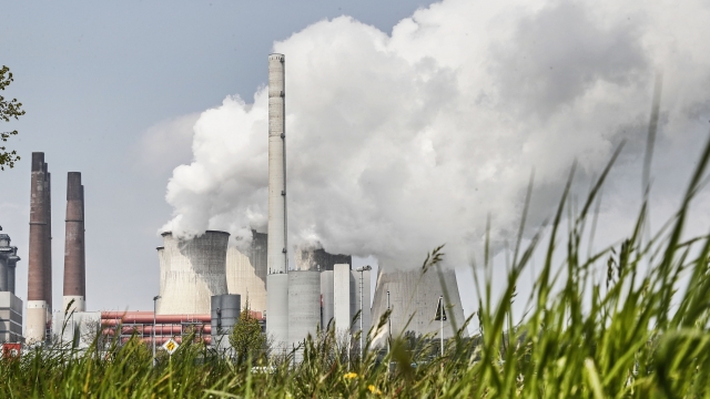A coal-fired RWE power plant steams in Neurath, Germany.