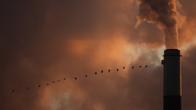 A flock of geese fly past a smokestack at a coal power plant