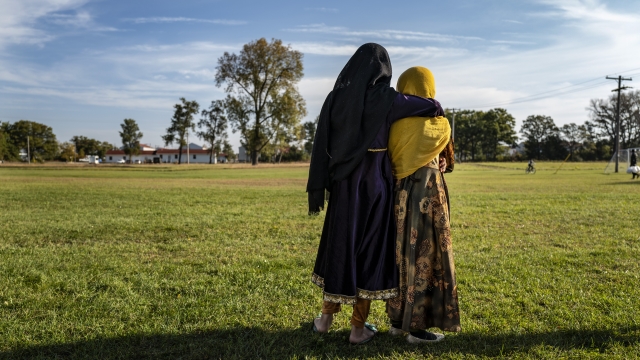 Two Afghan refugee girls.