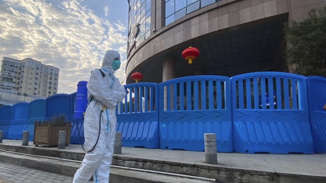 Worker in protective overalls and carrying disinfecting equipment