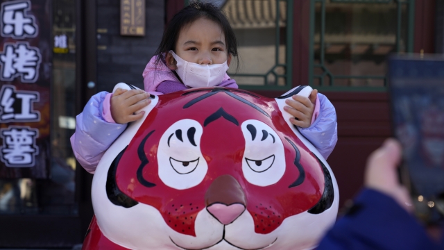 A child wearing a mask holds on to the ears of a Tiger sculpture on the first day of the Lunar Year of the Tiger in Beijing