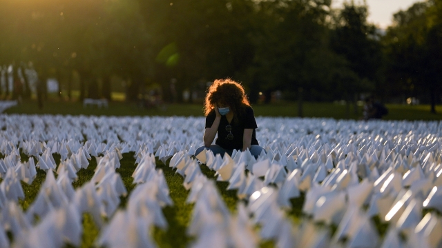 A temporary art installation of white flags in remembrance of lives lost to COVID-19