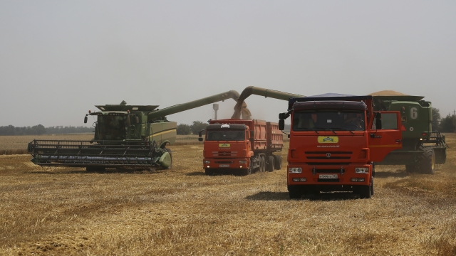 Farmers harvest with their combines in a wheat field near the village Tbilisskaya, Russia