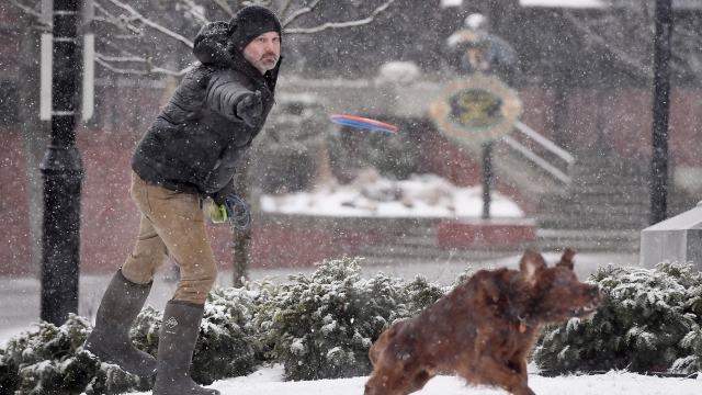 A man in Vermont throws a frisbee to his dog in the snow