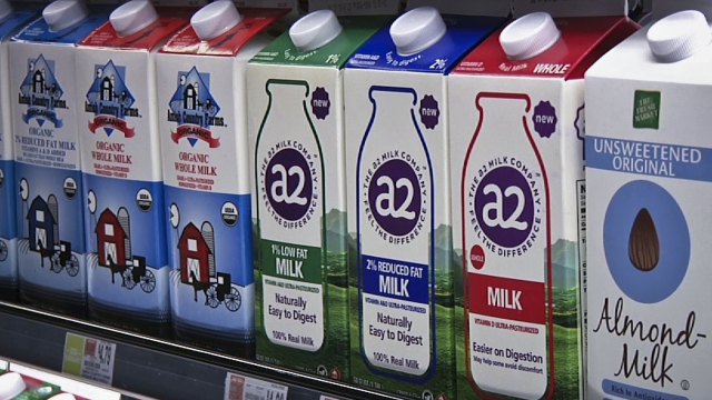 Milk displayed at grocery store