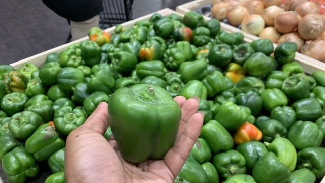 Green bell peppers in a grocery store