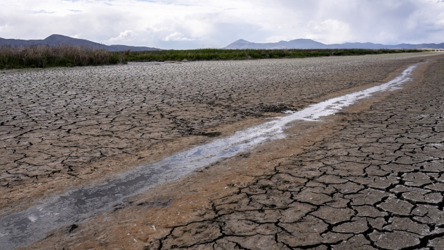 Small stream of water runs through dried, cracked field