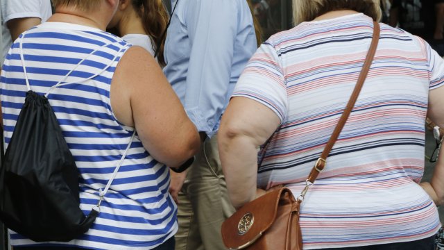 Obesity Is On The Rise Worldwide