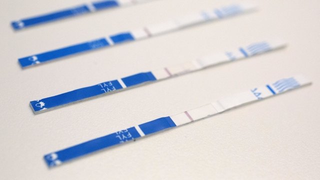 An arrangement of fentanyl test strips