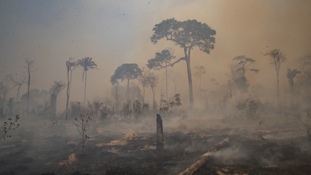 Fire consumes land in Brazil
