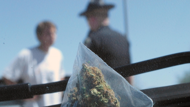 Marijuana is seen on a dashboard while a state trooper talks with someone outside.