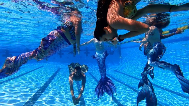 Mermaids swim in a pool.