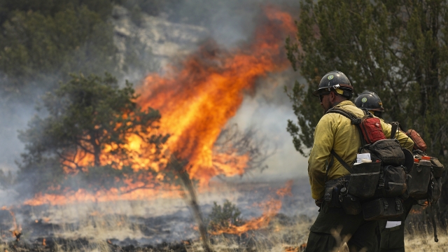Fire crews work to tame wildfires