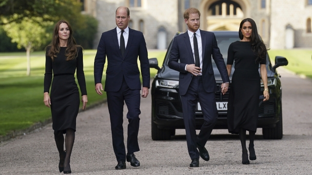 Kate, the Princess of Wales, Prince William, Prince of Wales, Prince Harry and Meghan, Duchess of Sussex.