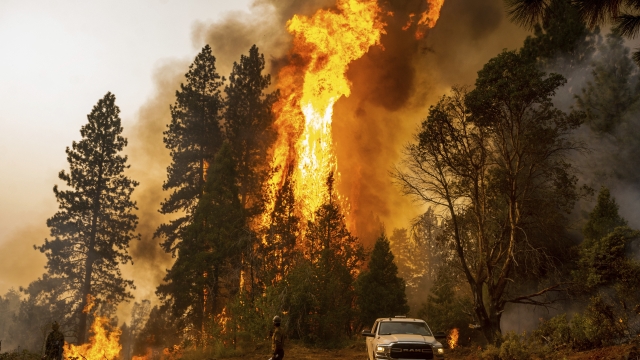 Crews battle a wildfire.