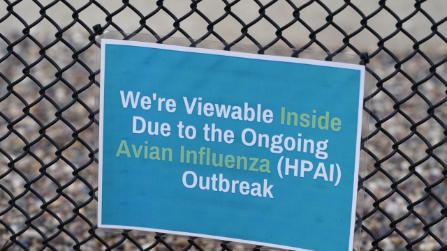 A sign is seen on a fence near an outdoor Magellan penguin viewing area at the Blank Park Zoo
