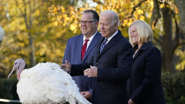 President Joe Biden pardons Peanut Butter, the national Thanksgiving turkey, in the Rose Garden of the White House