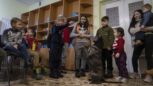 Children in Ukraine traumatized by the war play with American pit bull terrier "Bice" as part of a therapy program.