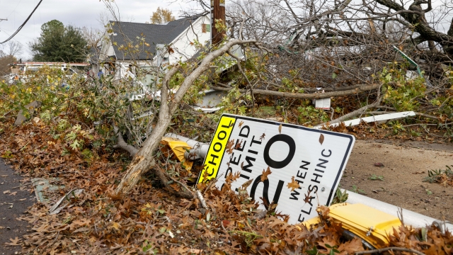A school zone speed limit sign lays with downed trees along North Lucas Drive after a possible tornado in Grapevine, Texas.