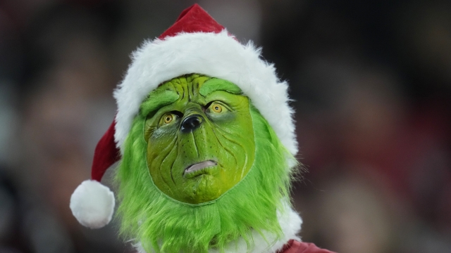An Arizona Cardinals fan dresses as the Grinch prior to an NFL football game