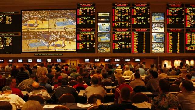 Sports betting is everywhere now, but is it paying off?
