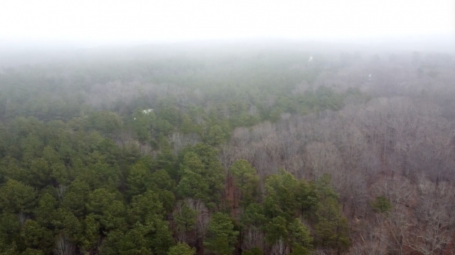 Plot of forest land in North Carolina.