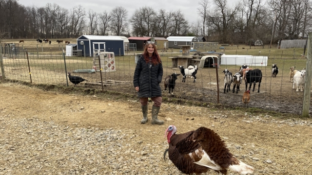 Lisa Marie Sopko with some of her animals at Kindred Spirits Rescue Ranch.