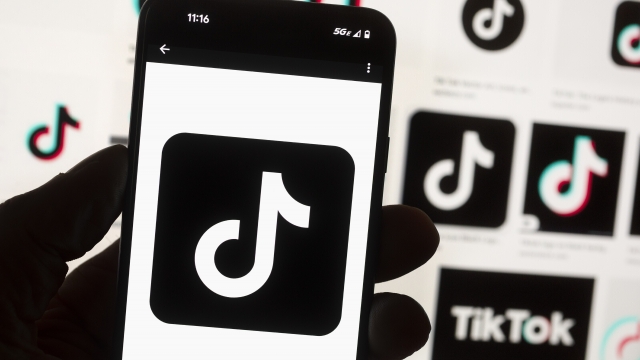 The TikTok logo on a phone