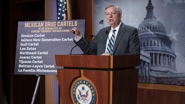 Sen. Lindsey Graham, R-S.C., tells reporters he wants to introduce legislation to combat Mexican cartels and gangs