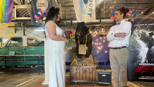 Alexandra Venturino and Armando Elizondo get married in front of Cocaine Bear