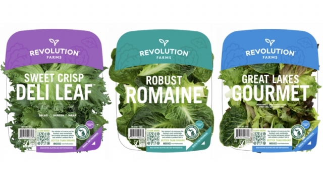 Revolution Farms lettuce products.