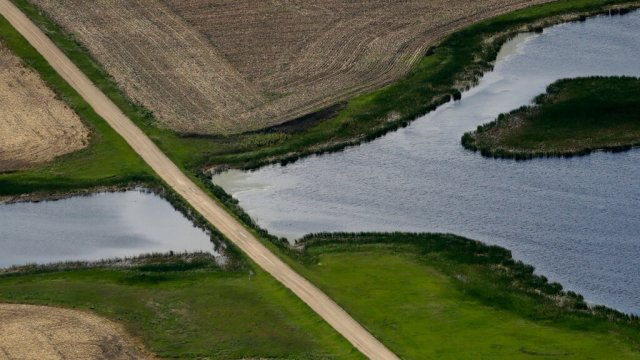 A wetland in North Dakota
