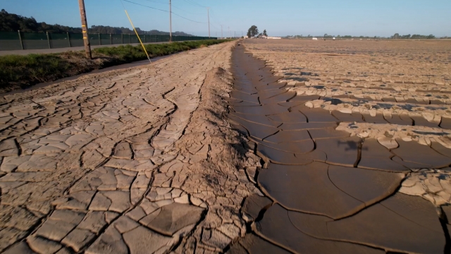 Flood hit crops in California.