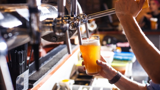 Bartender pours tap beer into a glass.