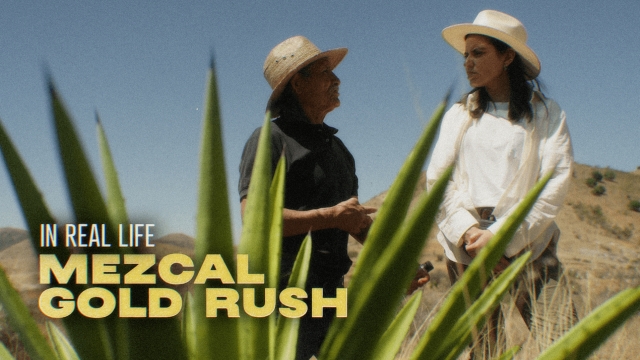 In Real Life: Mezcal Gold Rush