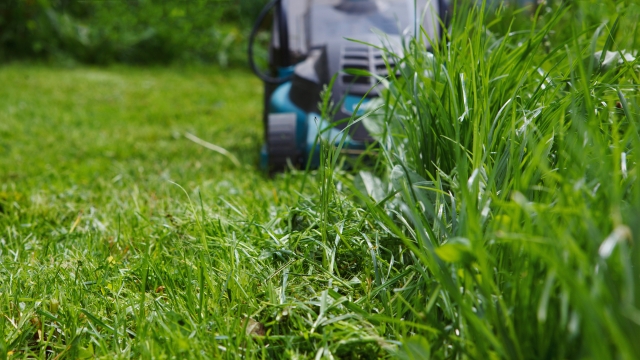 Electrion lawnmower cutting grass.