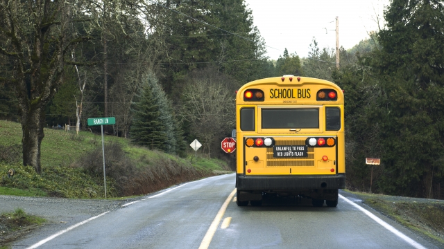 A school bus is shown.