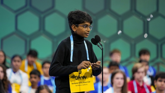 Dhruv Subramanian at the Scripps National Spelling Bee.