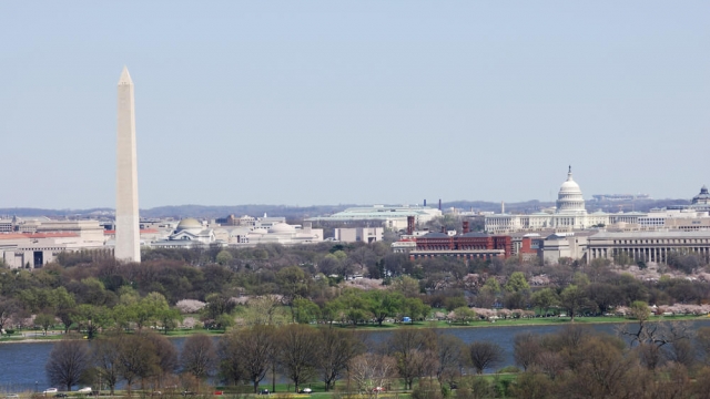 Washington D.C. skyline.