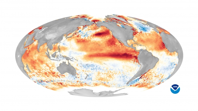 Sea surface temperature anomalies during an El Nino period