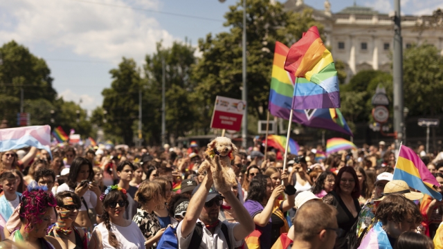 A view of the annual Gay pride Rainbow Parade in Austria