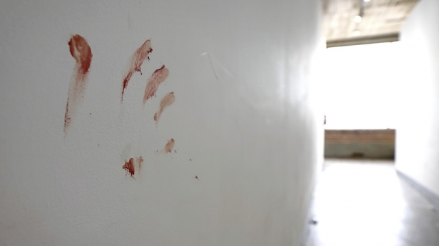 A bloody handprint can be seen on the wall of a hallway.