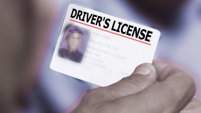 Generic image of drivers license.