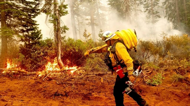 Fire Battalion Chief Craig Newell carries a hose while battling the North Complex Fire in Plumas National Forest, California.