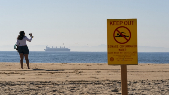 Half of America's Beaches Have Unsafe Pollution Levels: Report
