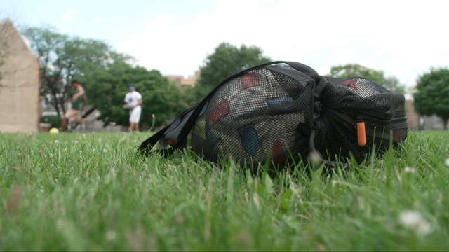 Soccer balls on a patch of grass.