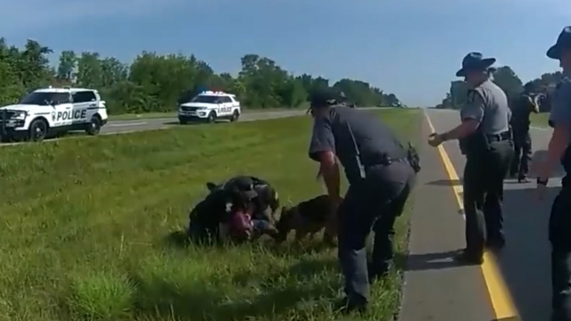Bodycam video shows a dog biting a suspect following a pursuit.