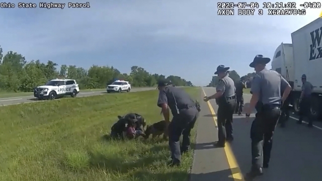 Bodycam video shows a dog biting a suspect following a pursuit.