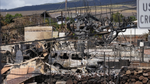 Destruction is seen in a neighborhood after a wildfire in Lahaina, Hawaii.